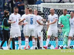 欧预赛：爱尔兰蓝鸟圣狐厮杀乐土争锋！的简单介绍