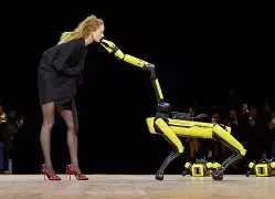 不莱梅战绩赛程 不莱梅战绩赛程