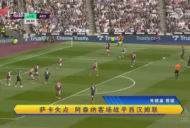 在线游戏-关于欧国联评述：阿森纳主场战平西汉姆联，积分榜位置无变的信息