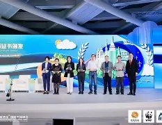 线上娱乐-沃尔夫斯堡获胜，向德国顶级联赛争冠发起冲刺的简单介绍