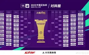 C7游戏平台-西南亚球队客场失利，小组出线前景凌乱的简单介绍